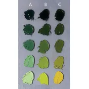 Màu đen trong hội họa